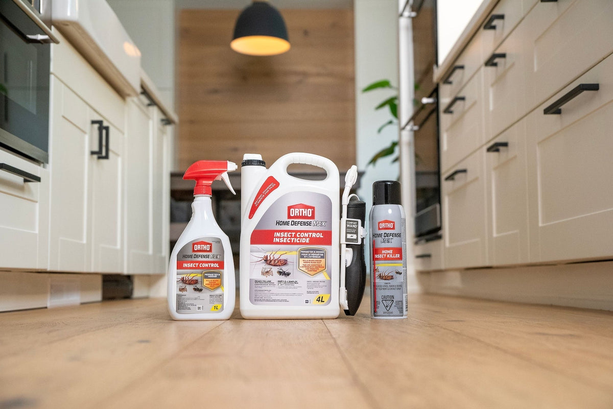 Home Defense MAX Perimeter & Indoor Liquid Ready-to-Use Insect Control, Insecticide, 4-L H4L4 - product image 3