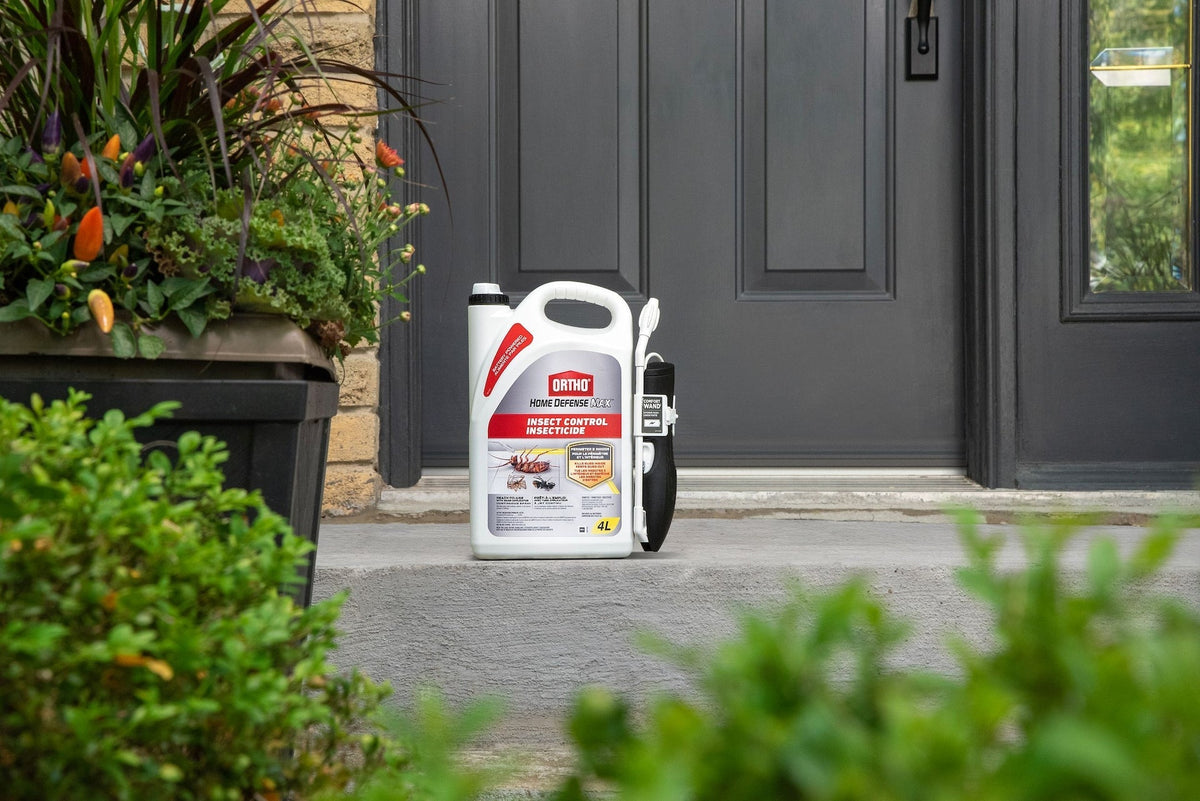 Home Defense MAX Perimeter & Indoor Liquid Ready-to-Use Insect Control, Insecticide, 4-L H4L4 - product image 5