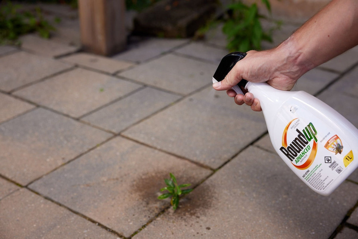 Advanced Ready-To-Use Grass & Weed Control Spray, 1-L R4C7 - product image 4
