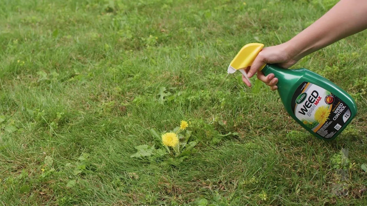 Weed B Gon MAX Weed Control Concentrate for Lawns, 1-L W6M8 - product image 6