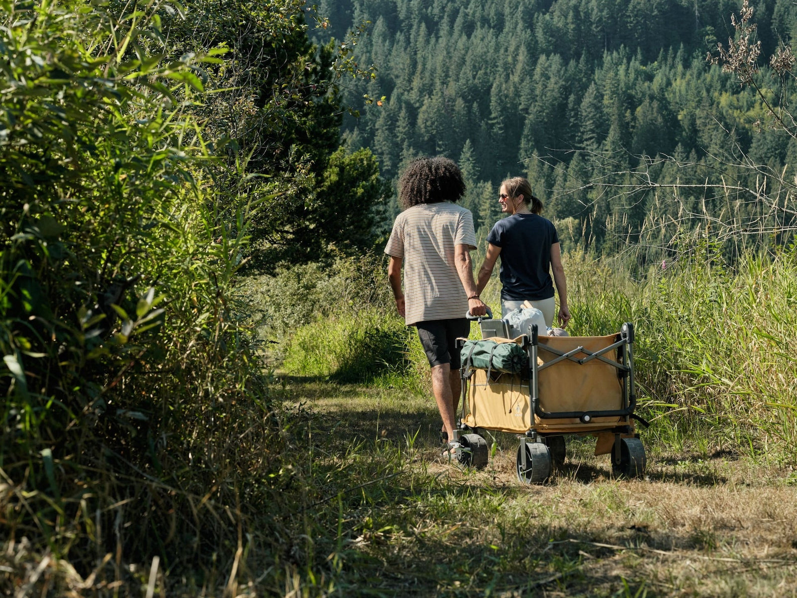 Overlander Fully Equipped Folding Wagon, 102-kg Capacity K1J7 - product image 8